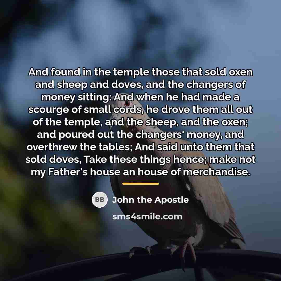 “And found in the temple those that sold oxen and…” quote by John the Apostle