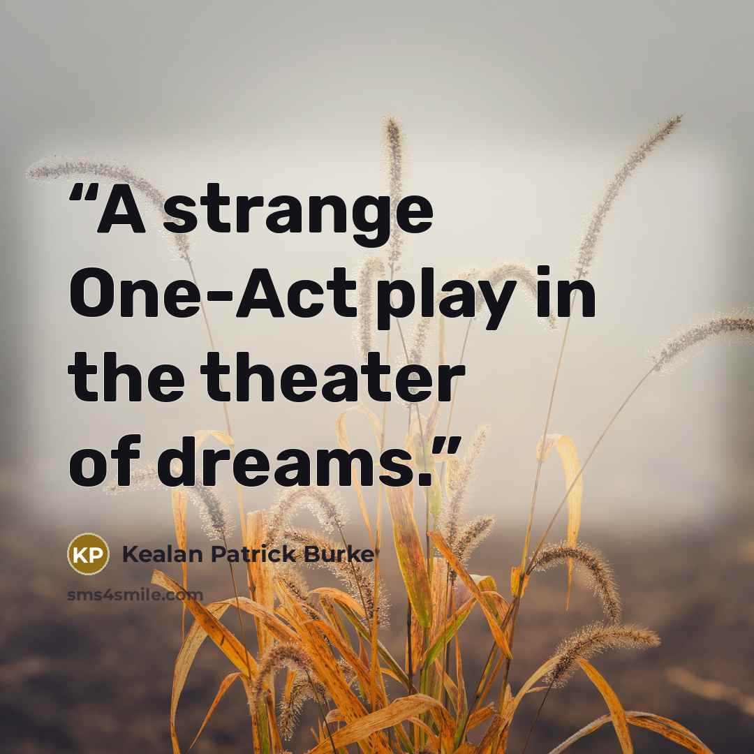 “A strange One-Act play in the theater of dreams.” quote by Kealan Patrick Burke