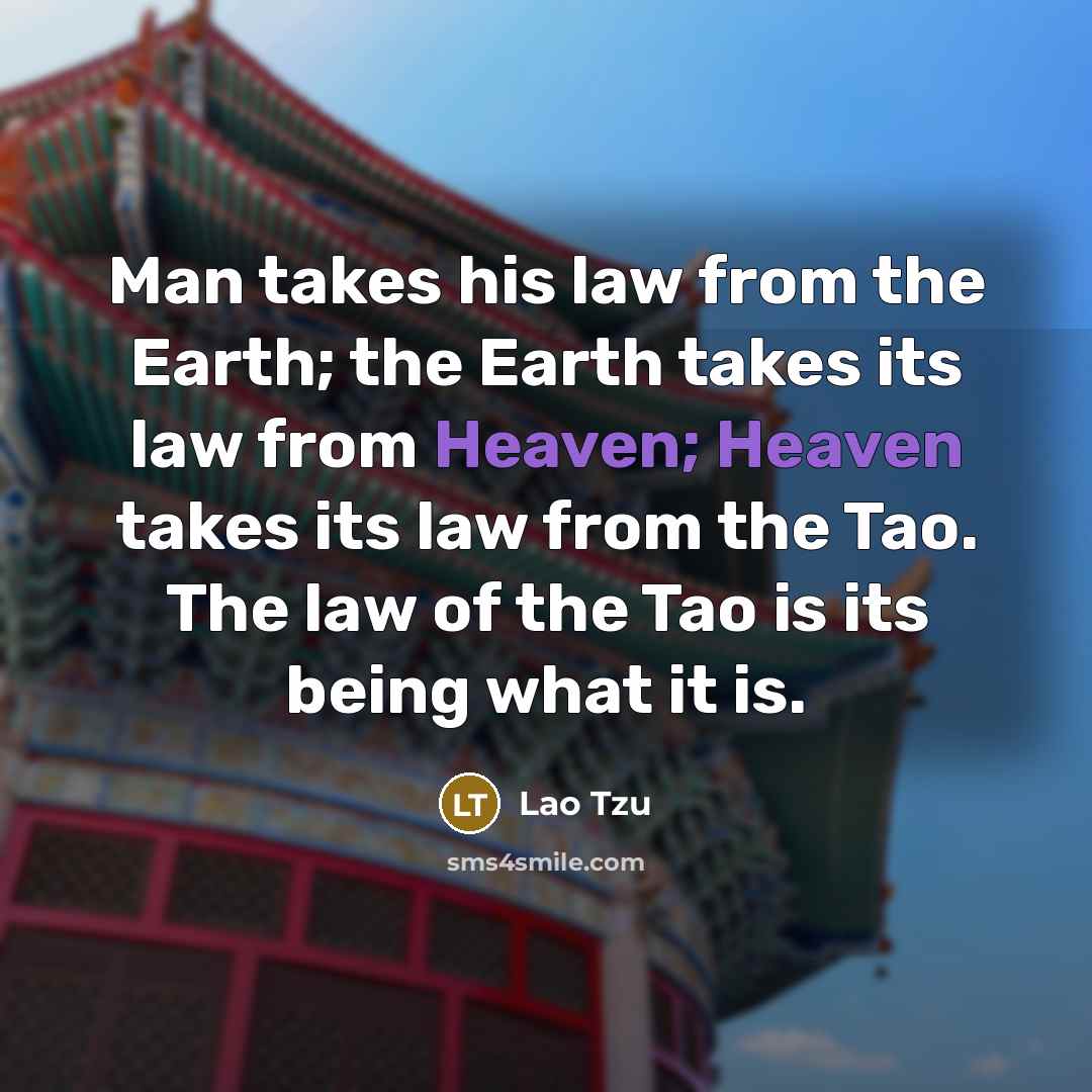 “Man takes his law from the Earth; the Earth takes…” quote by Lao Tzu