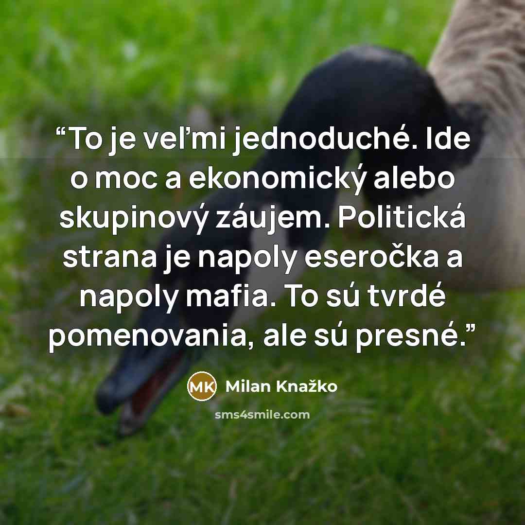 “To je veľmi jednoduché. Ide o moc a ekonomický alebo skupinový záujem. Politická strana je napoly eseročka a napoly mafia. To sú tvrdé pomenovania, ale sú presné.” quote by Milan Knažko