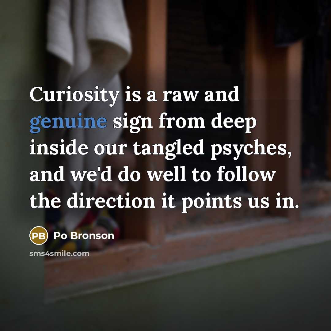 “Curiosity is a raw and genuine sign from deep inside…” quote by Po Bronson