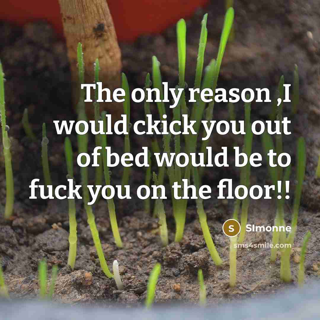 “The only reason ,I would ckick you out of bed would be to fuck you on the floor!!” quote by SImonne