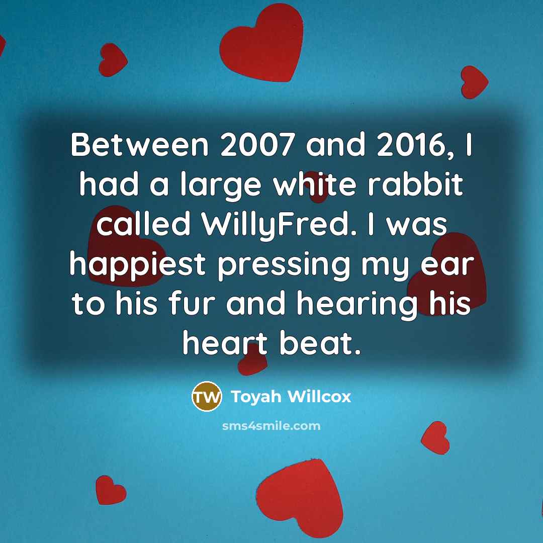 “Between 2007 and 2016, I had a large white rabbit…” quote by Toyah Willcox
