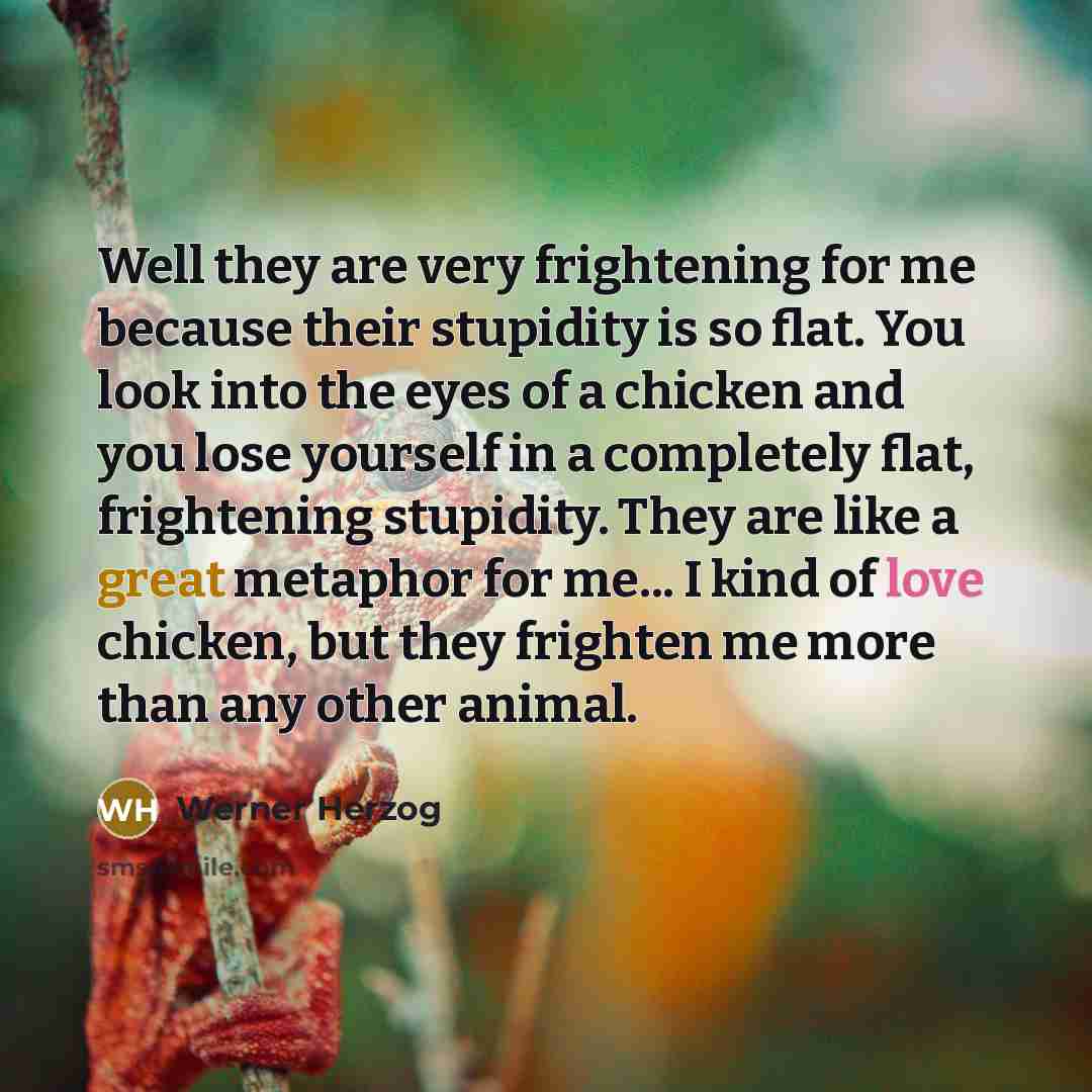 “Well they are very frightening for me because their stupidity…” quote by Werner Herzog