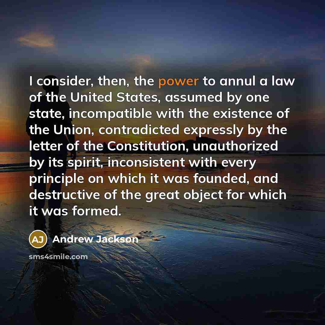 “I consider, then, the power to annul a law of…” quote by Andrew Jackson
