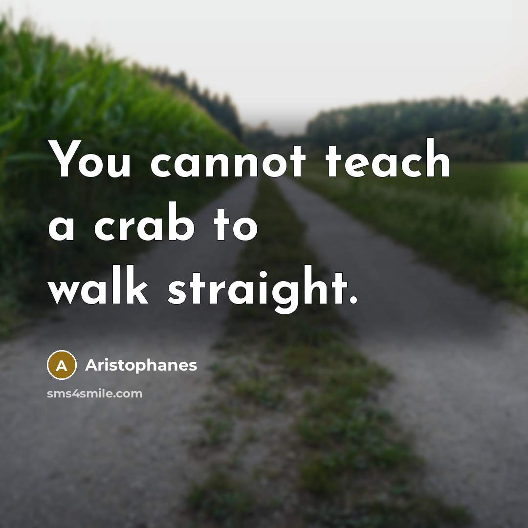 “You cannot teach a crab to walk straight.…” quote by Aristophanes
