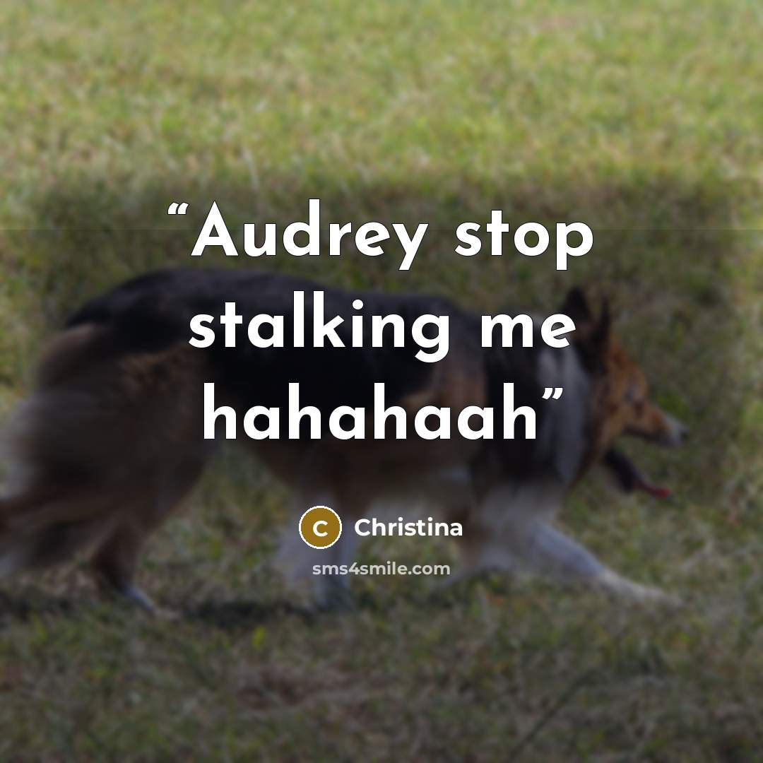 “Audrey stop stalking me hahahaah” quote by christina