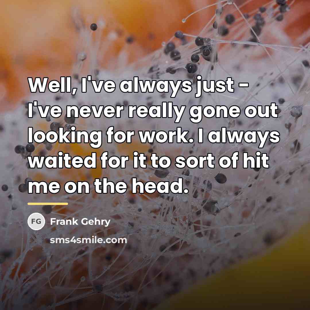 “Well, I've always just - I've never really gone out…” quote by Frank Gehry