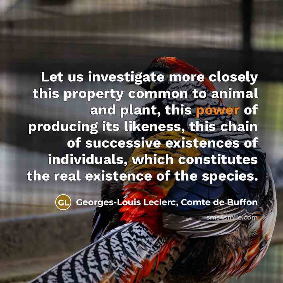 “Let us investigate more closely this property common to animal…” quote by Georges-Louis Leclerc, Comte de Buffon