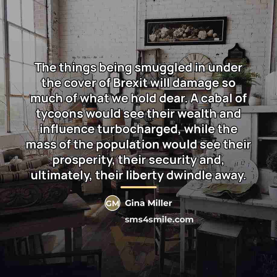 “The things being smuggled in under the cover of Brexit…” quote by Gina Miller