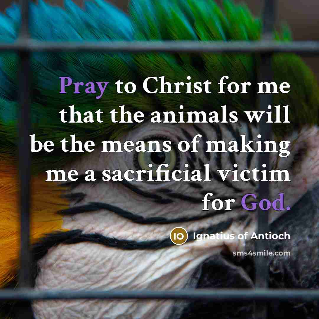 “Pray to Christ for me that the animals will be…” quote by Ignatius of Antioch