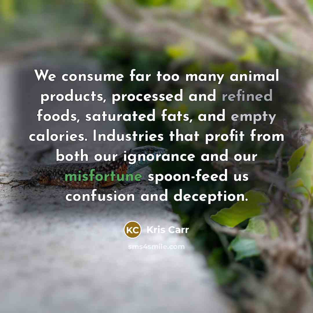 “We consume far too many animal products, processed and refined…” quote by Kris Carr