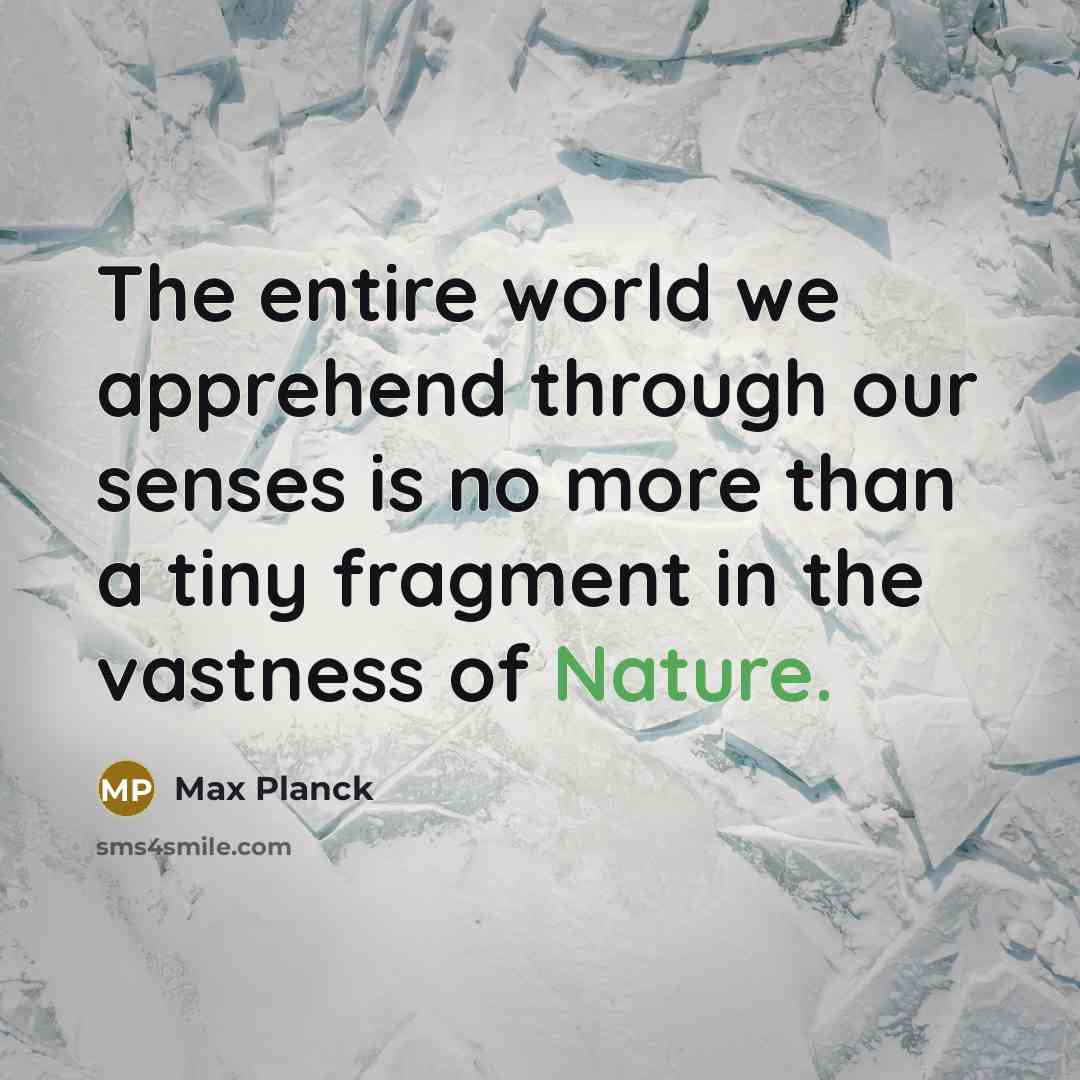 “The entire world we apprehend through our senses is no…” quote by Max Planck