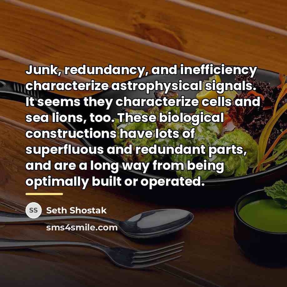 “Junk, redundancy, and inefficiency characterize astrophysical signals. It seems they…” quote by Seth Shostak