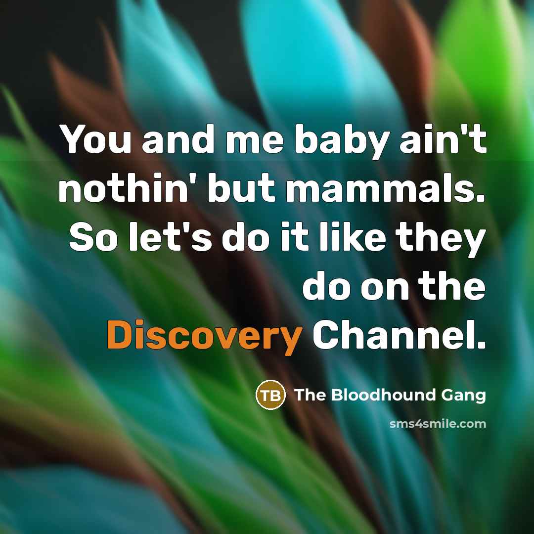 “You and me baby ain't nothin' but mammals. So let's do it like they do on the Discovery Channel.” quote by The Bloodhound Gang