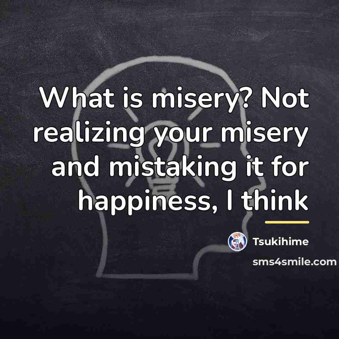 “What is misery? Not realizing your misery and mistaking it…” quote by Tsukihime