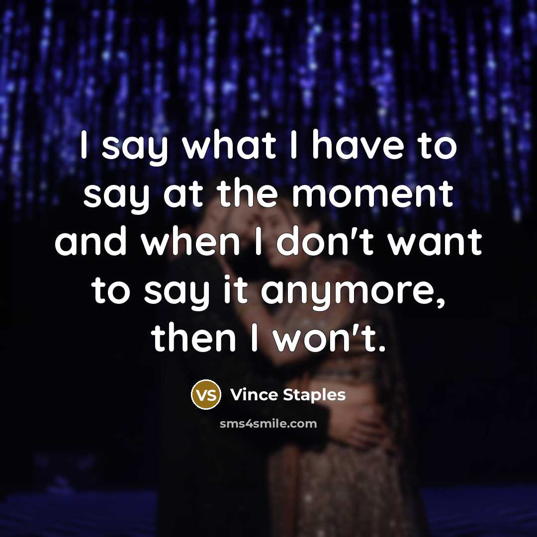 “I say what I have to say at the moment…” quote by Vince Staples