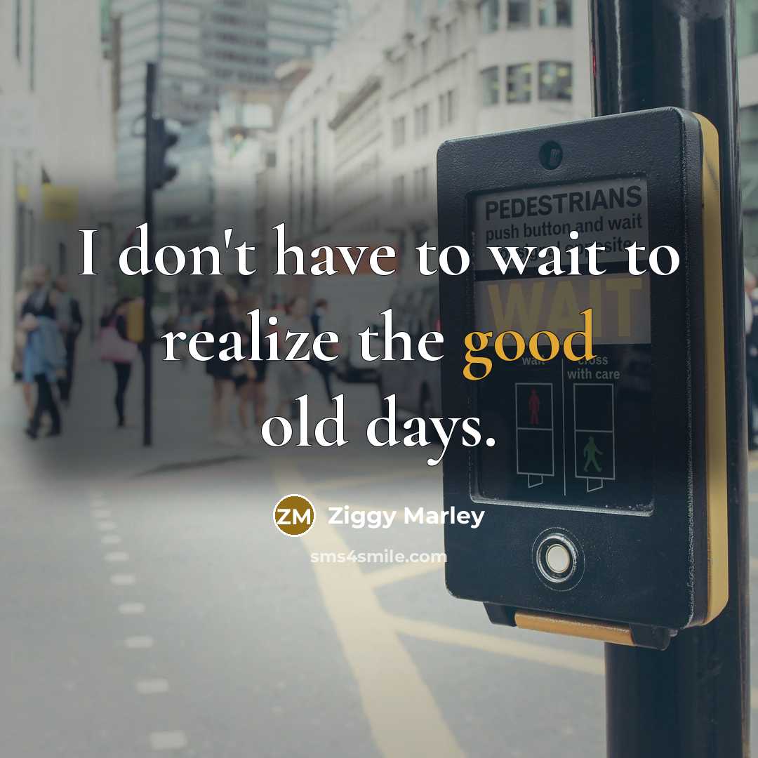 “I don't have to wait to realize the good old…” quote by Ziggy Marley