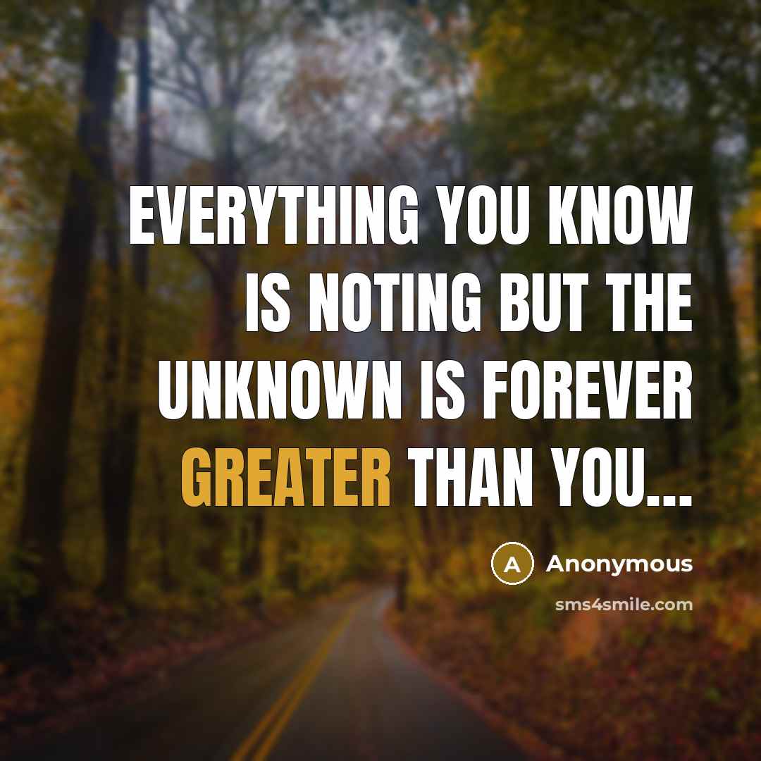 “EVERYTHING YOU KNOW IS NOTING BUT THE UNKNOWN IS FOREVER GREATER THAN YOU…” quote by Anonymous