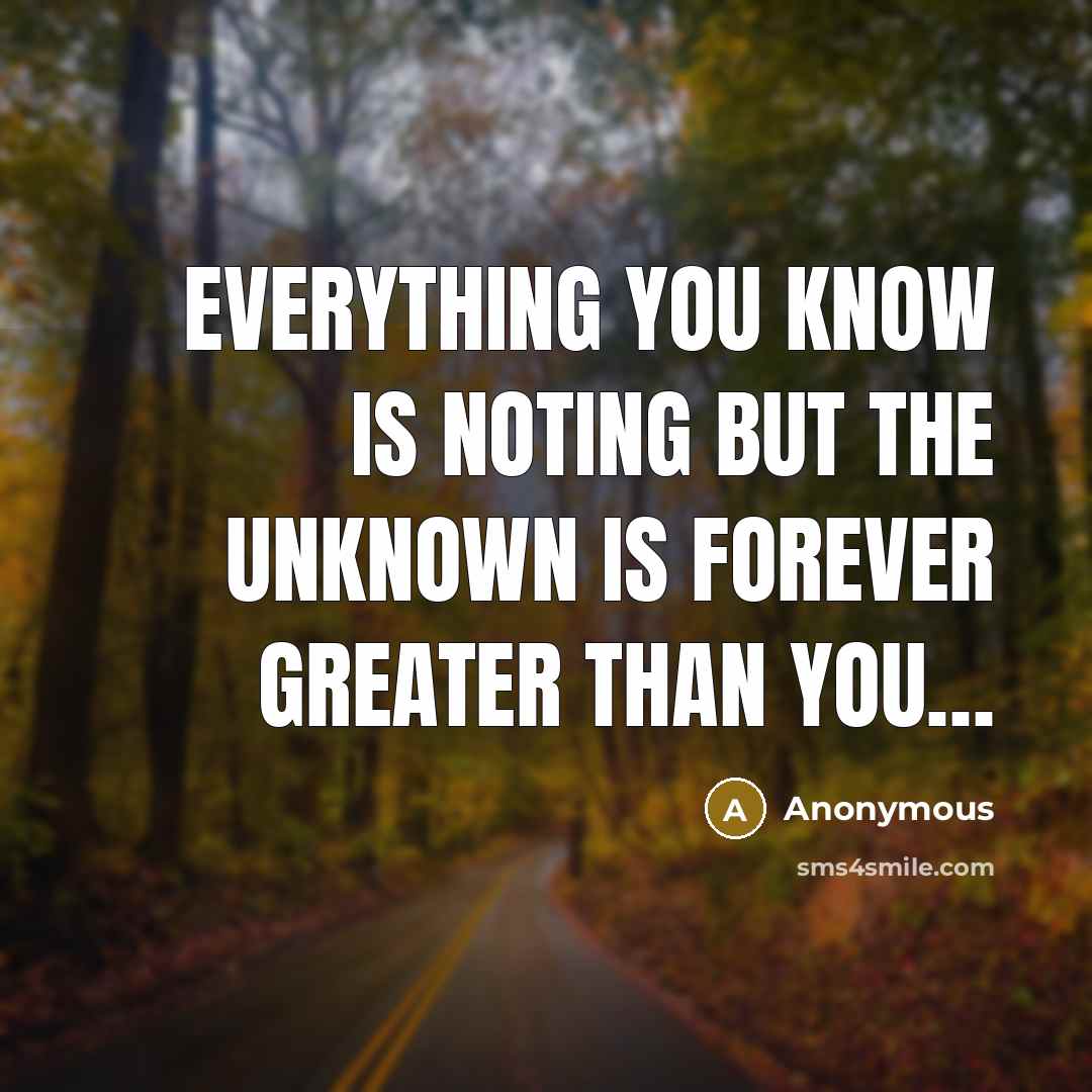 “EVERYTHING YOU KNOW IS NOTING BUT THE UNKNOWN IS FOREVER…” quote by Anonymous