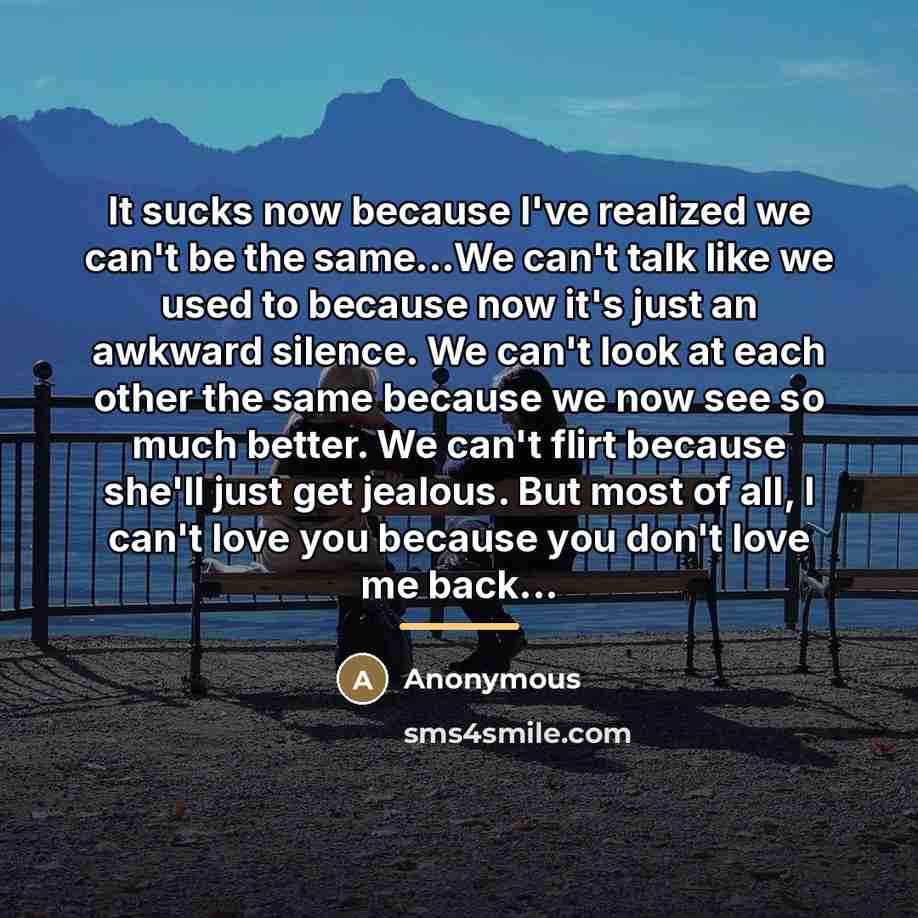 “It sucks now because I've realized we can't be the…” quote by Anonymous