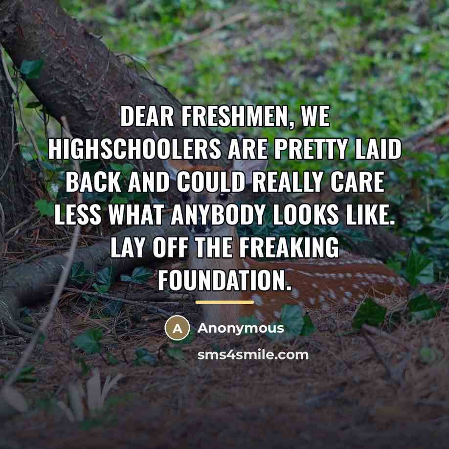 “Dear freshmen, we highschoolers are pretty laid back and could…” quote by Anonymous