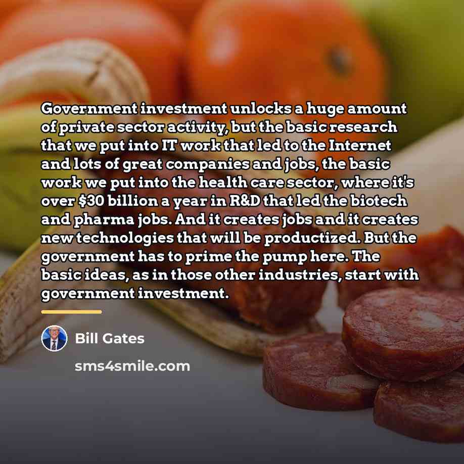 “Government investment unlocks a huge amount of private sector activity,…” quote by Bill Gates