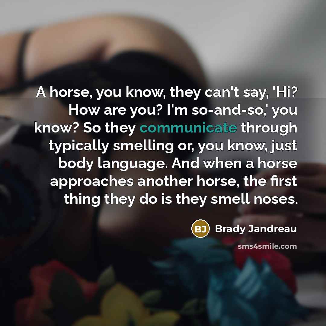 “A horse, you know, they can't say, 'Hi? How are…” quote by Brady Jandreau