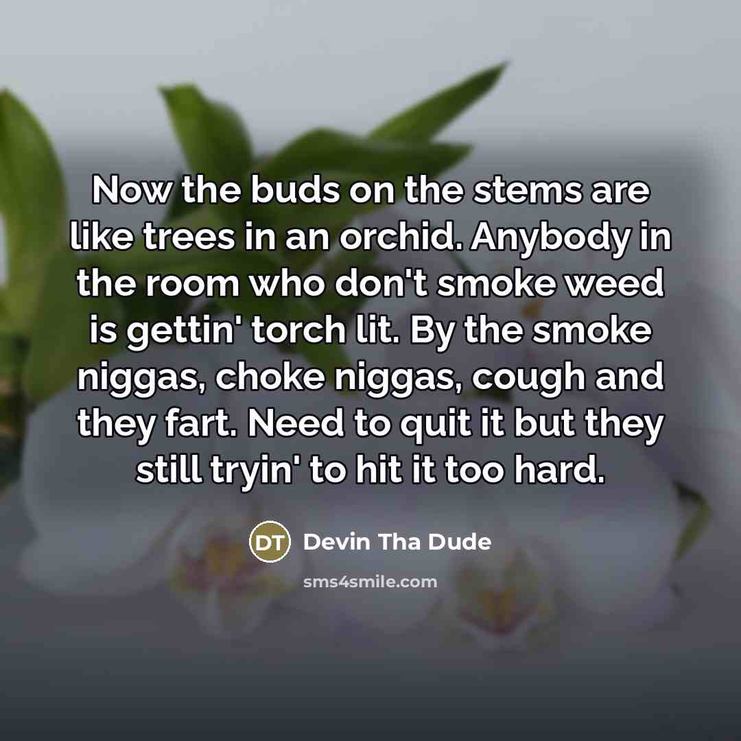 “Now the buds on the stems are like trees in…” quote by Devin Tha Dude