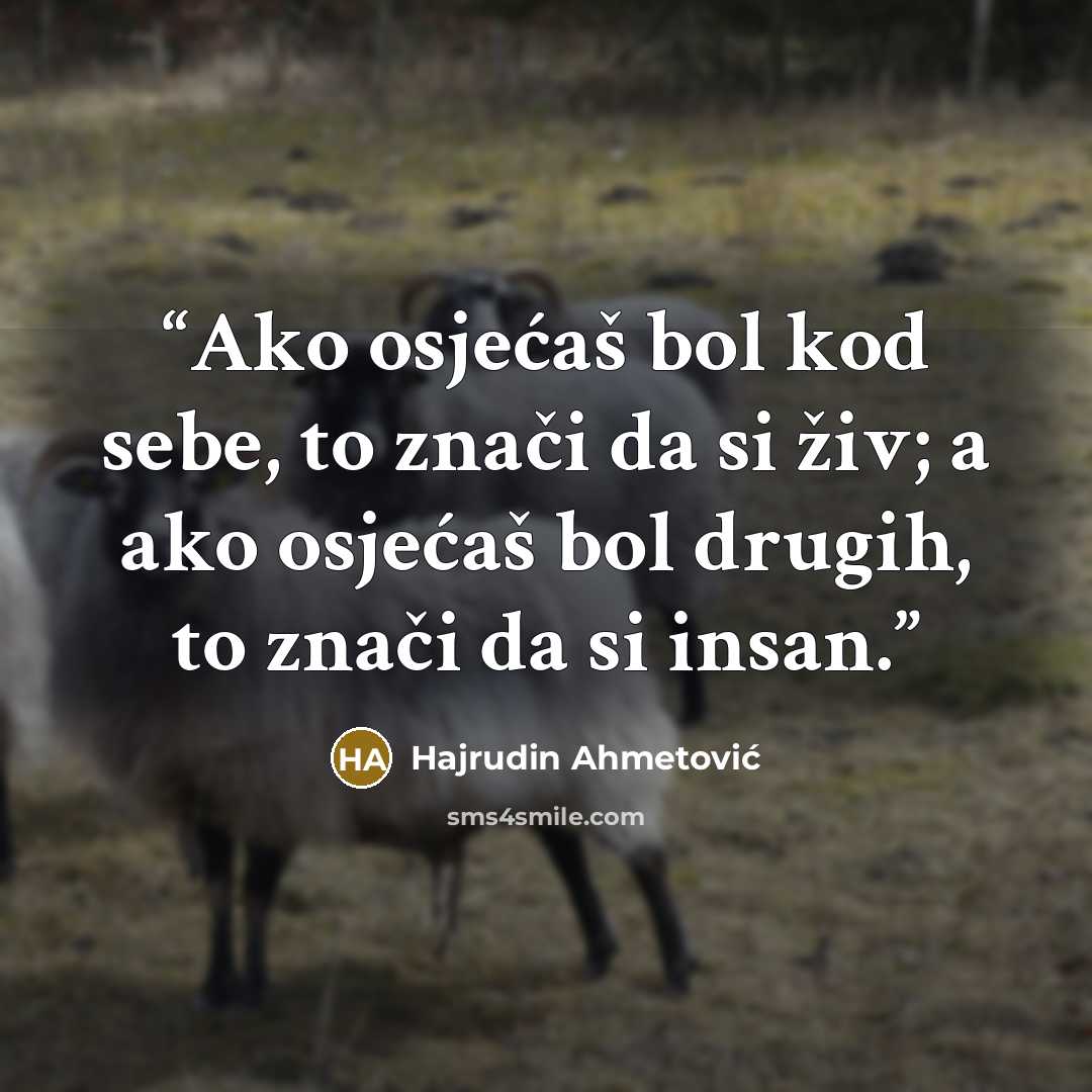 “Ako osjećaš bol kod sebe, to znači da si živ; a ako osjećaš bol drugih, to znači da si insan.” quote by Hajrudin Ahmetović