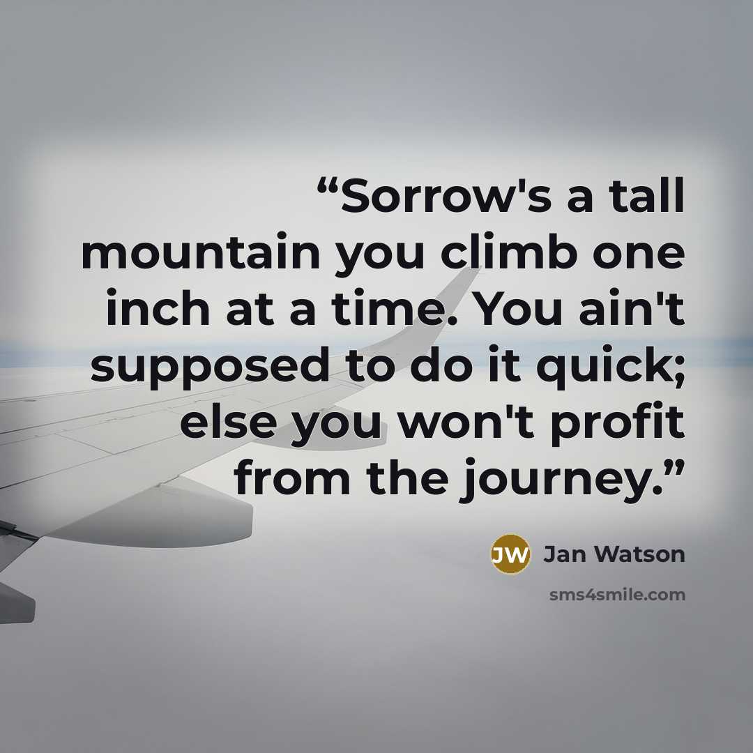 “Sorrow's a tall mountain you climb one inch at a time. You ain't supposed to do it quick; else you won't profit from the journey.” quote by Jan Watson