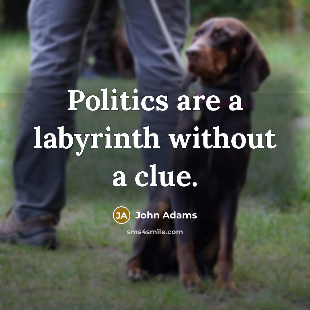 “Politics are a labyrinth without a clue.…” quote by John Adams