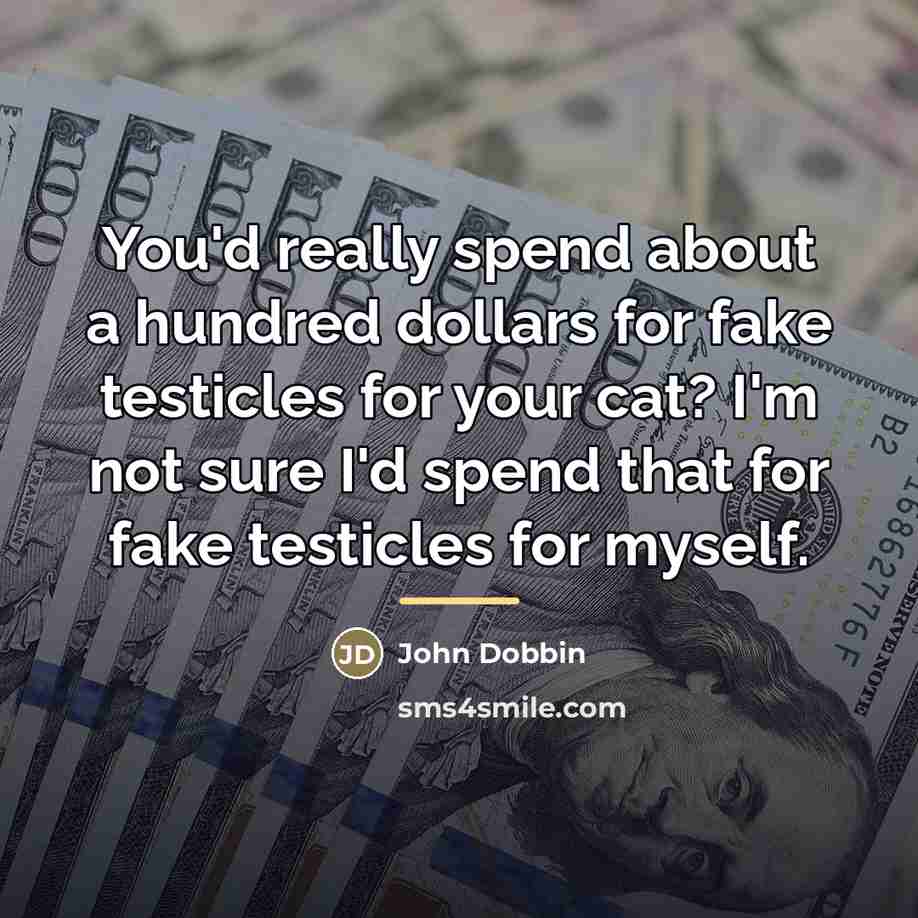 “You'd really spend about a hundred dollars for fake testicles…” quote by John Dobbin