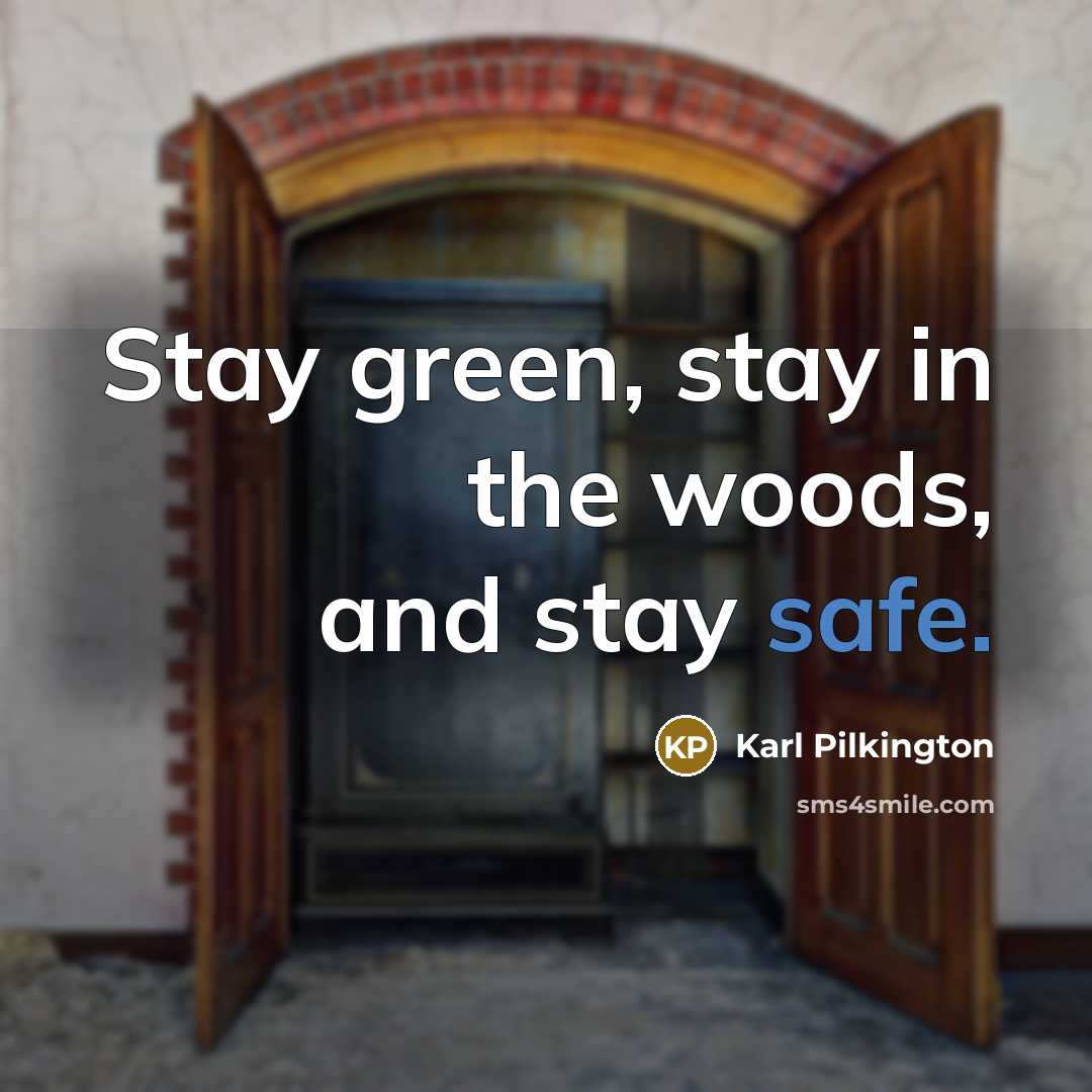 “Stay green, stay in the woods, and stay safe.…” quote by Karl Pilkington