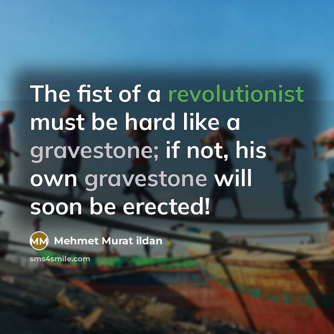 “The fist of a revolutionist must be hard like a…” quote by Mehmet Murat Ildan