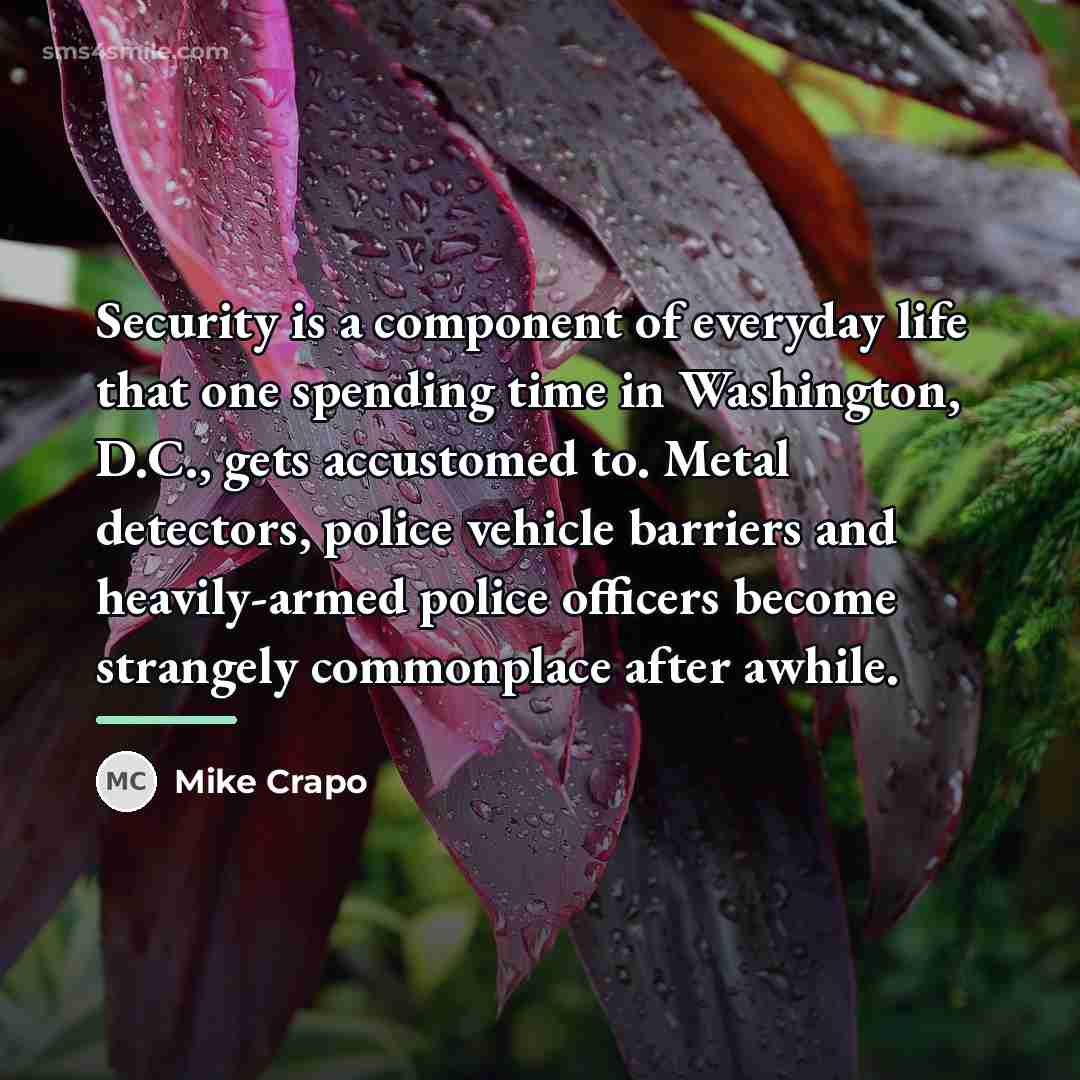 “Security is a component of everyday life that one spending…” quote by Mike Crapo