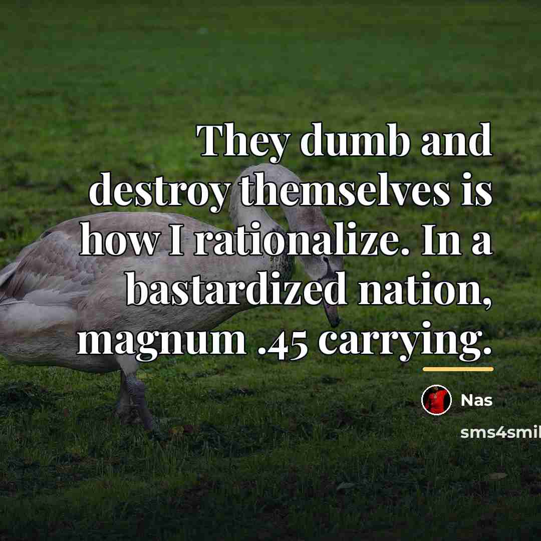 “They dumb and destroy themselves is how I rationalize. In…” quote by Nas