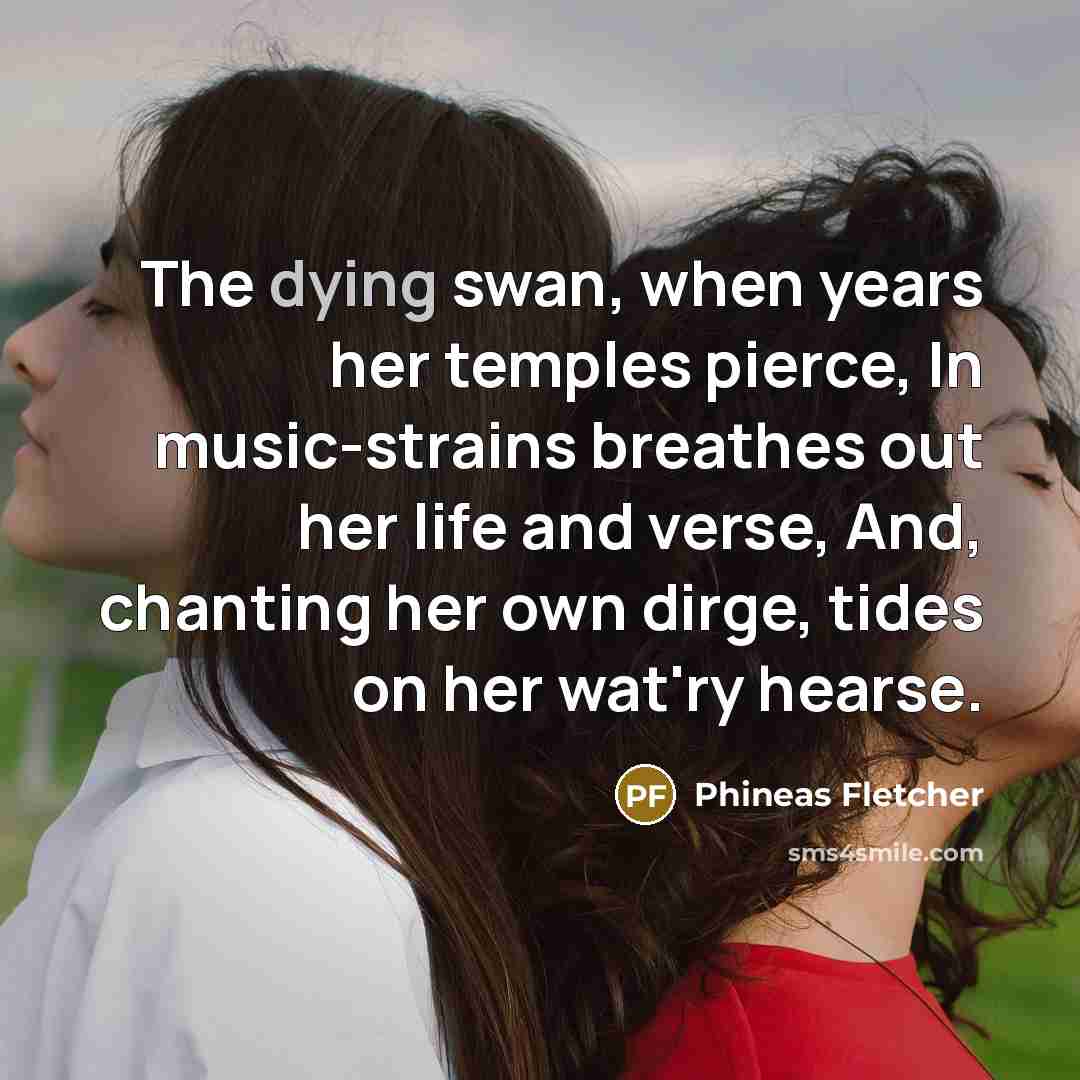 “The dying swan, when years her temples pierce, In music-strains…” quote by Phineas Fletcher