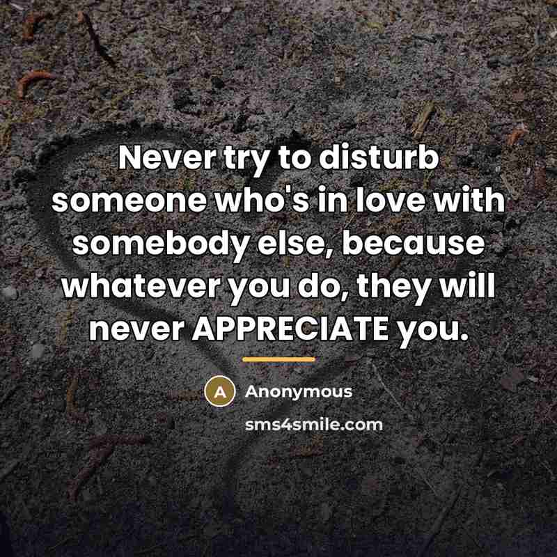 “Never try to disturb someone who's in love with somebody…” quote by Anonymous