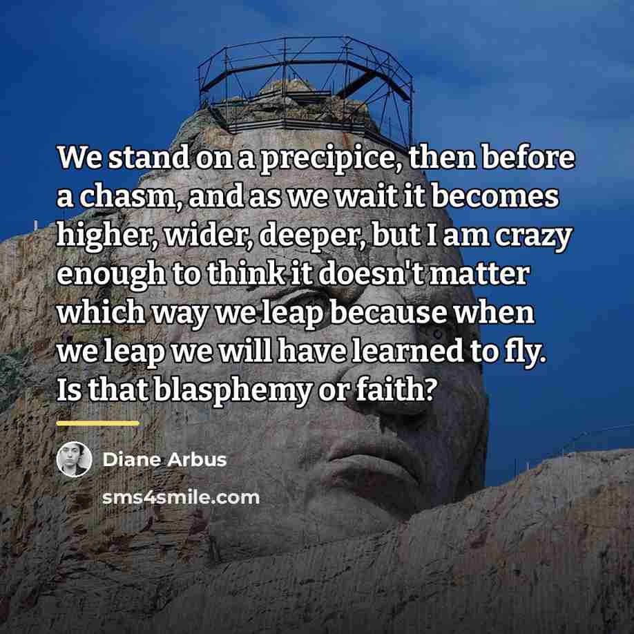 “We stand on a precipice, then before a chasm, and…” quote by Diane Arbus