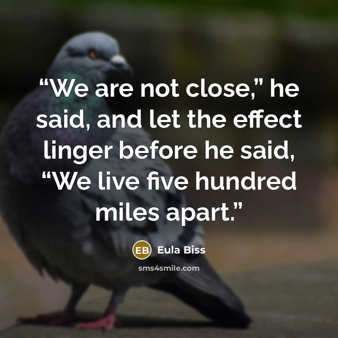 “We are not close,” he said, and let the effect linger before he said, “We live five hundred miles apart.” quote by Eula Biss