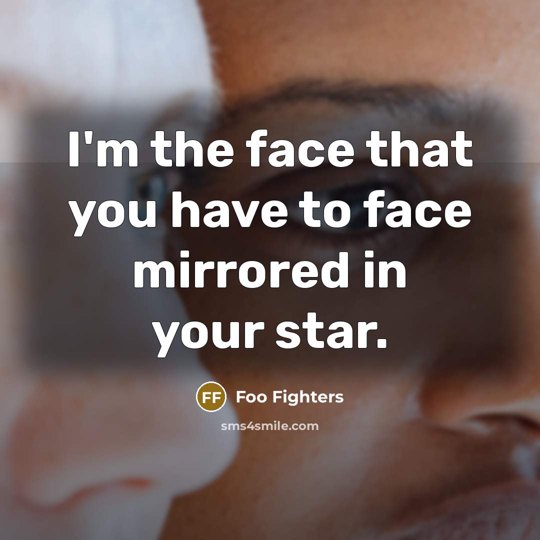 “I'm the face that you have to face mirrored in…” quote by Foo Fighters