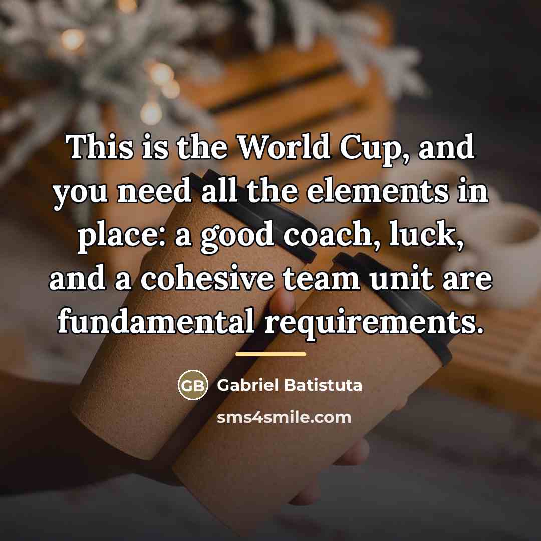 “This is the World Cup, and you need all the…” quote by Gabriel Batistuta