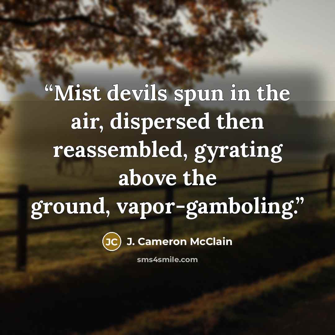 “Mist devils spun in the air, dispersed then reassembled, gyrating above the ground, vapor-gamboling.” quote by J. Cameron McClain