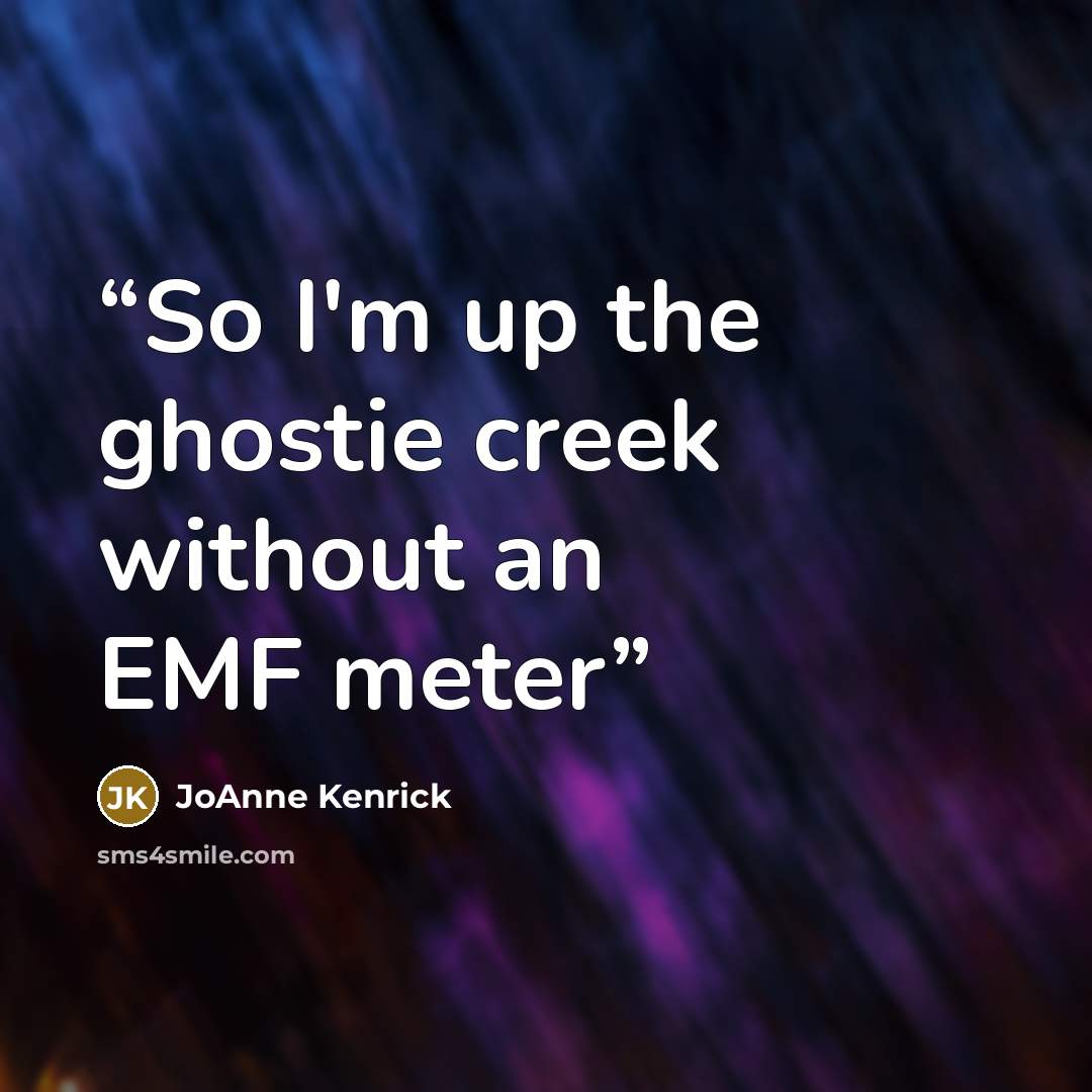 “So I'm up the ghostie creek without an EMF meter” quote by JoAnne Kenrick