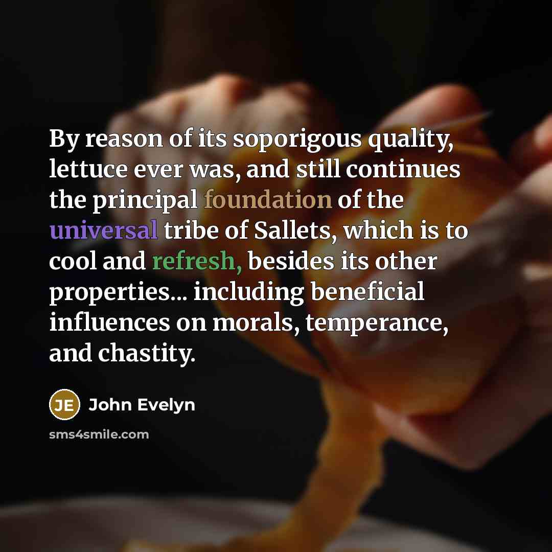 “By reason of its soporigous quality, lettuce ever was, and…” quote by John Evelyn