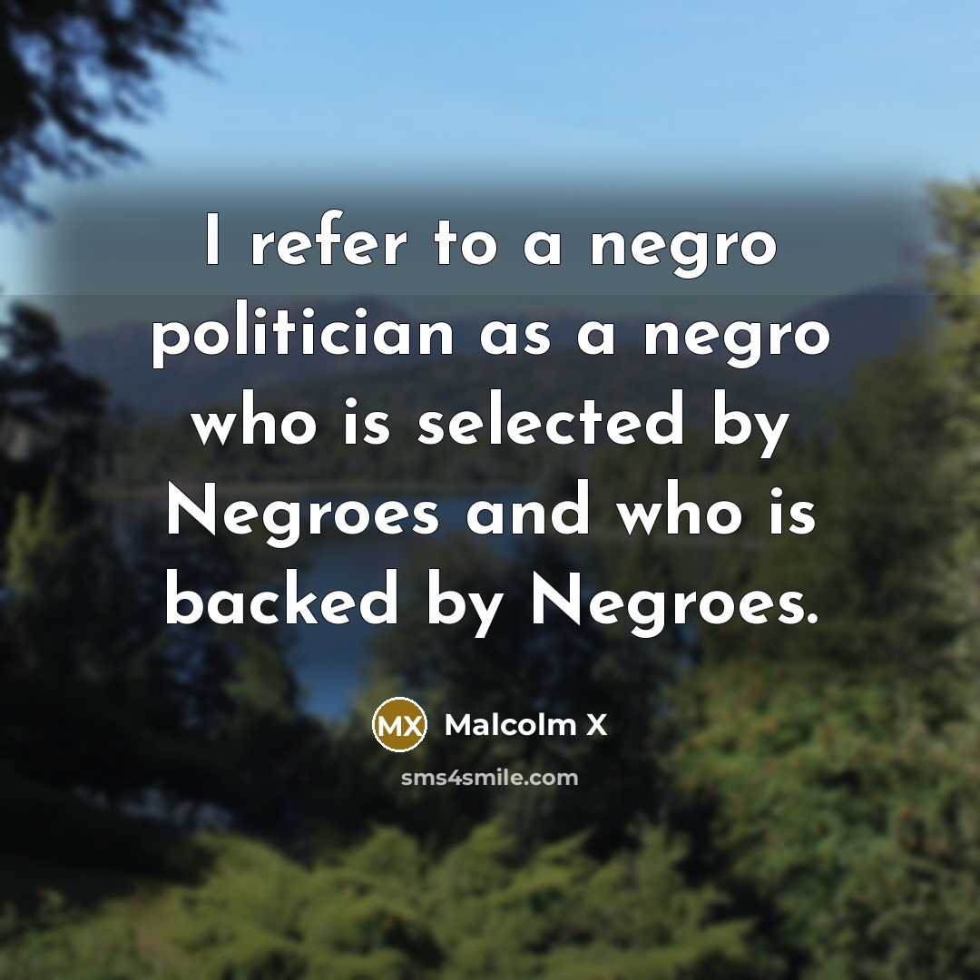 “I refer to a negro politician as a negro who…” quote by Malcolm X