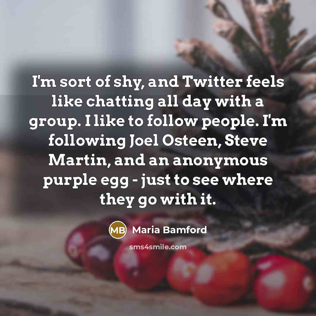 “I'm sort of shy, and Twitter feels like chatting all…” quote by Maria Bamford