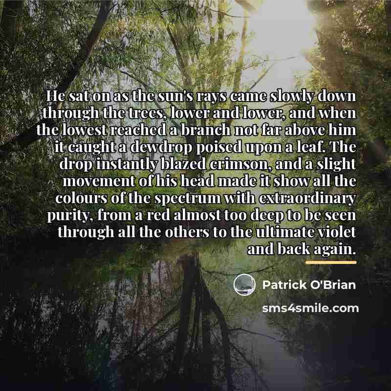 “He sat on as the sun's rays came slowly down…” quote by Patrick O'Brian