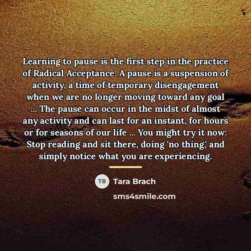 “Learning to pause is the first step in the practice…” quote by Tara Brach